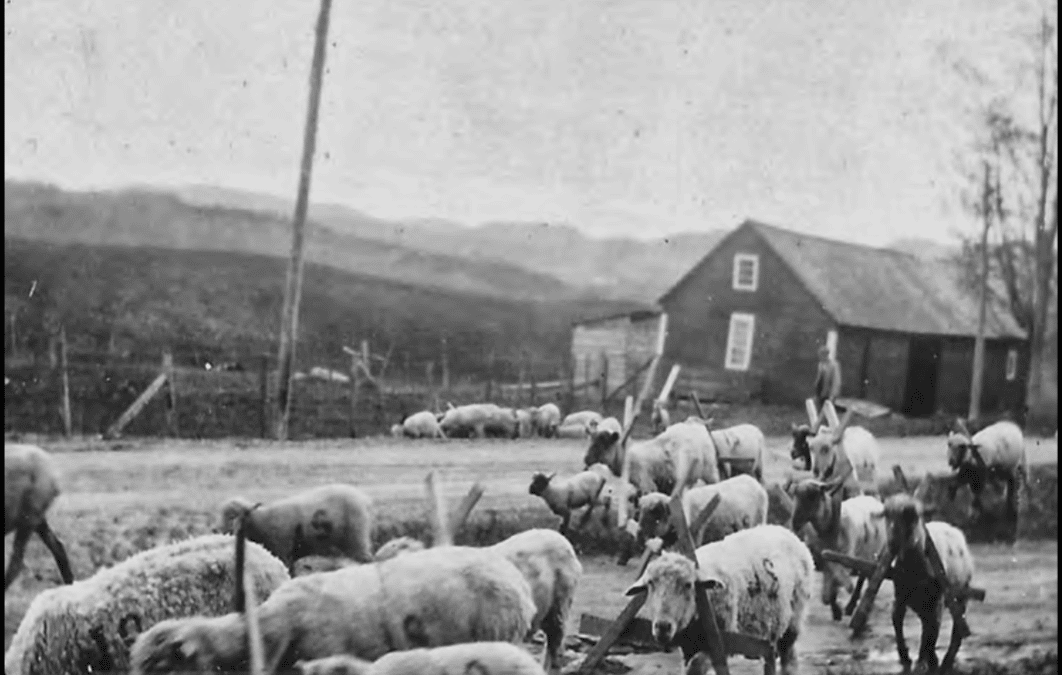 Daisy Dopp’s Vermont #10: Sound of the Bells on a Vermont Century Farm