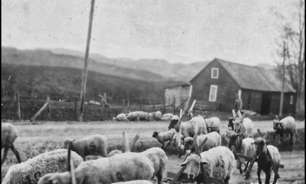 Daisy Dopp’s Vermont #10: Sound of the Bells on a Vermont Century Farm